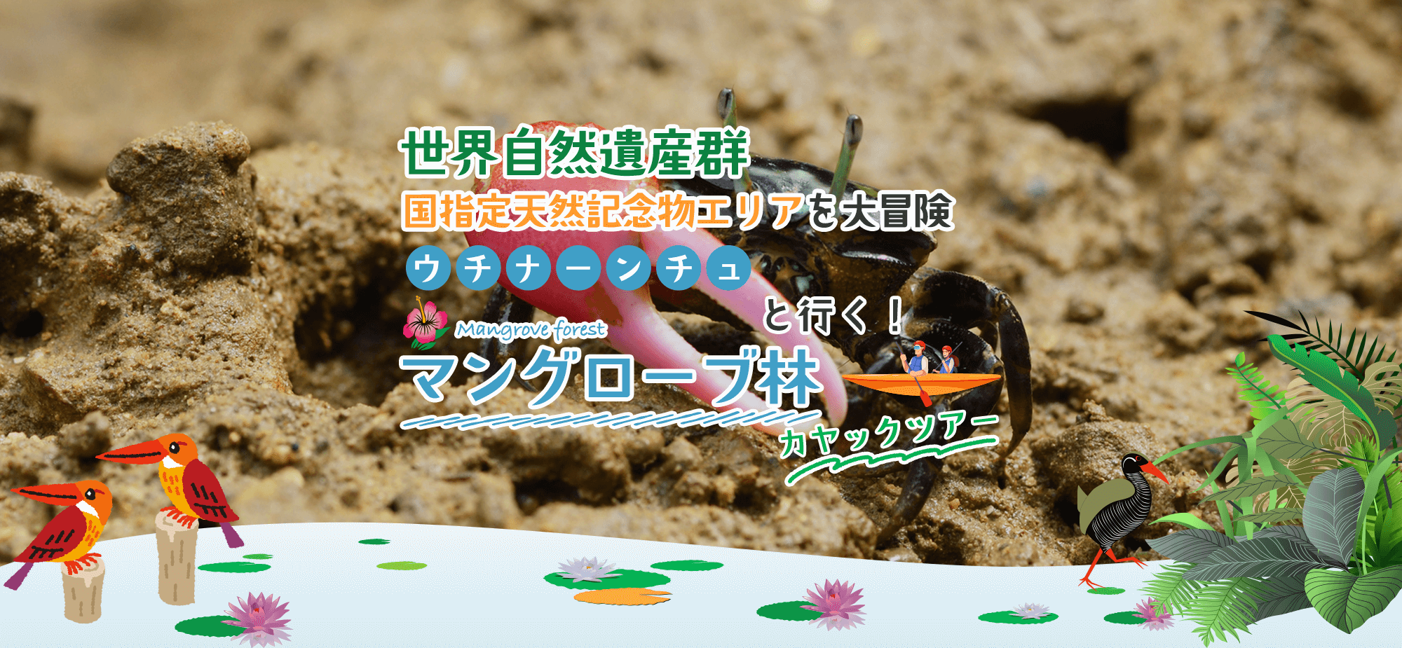 ウチナーンチュと行く！マングローブ林カヤックツアー