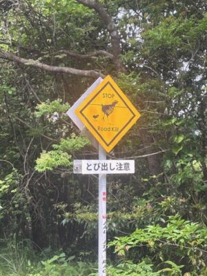 image0_4.jpeg
