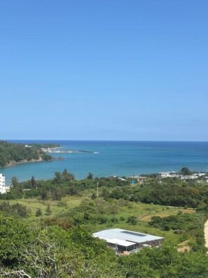 image0_3.jpeg