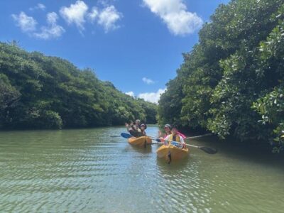 image1_5.jpeg