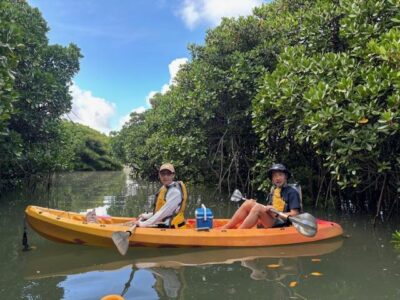image1_2.jpeg
