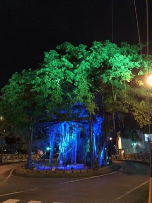 image4.jpeg